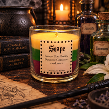 Potions Master Scented 4 oz Candle- Potion Books, Dungeon Corridors, Lilies
