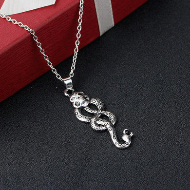 Silver Snake and Skull Necklace