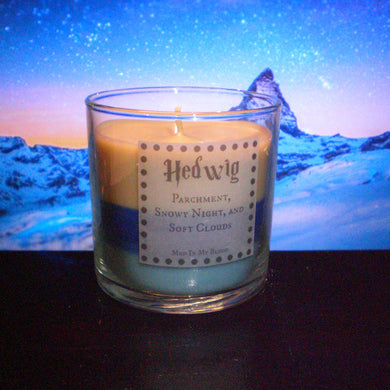 Owl Scented 4 oz Candle: Parchment, Snowy Night, and Soft Clouds